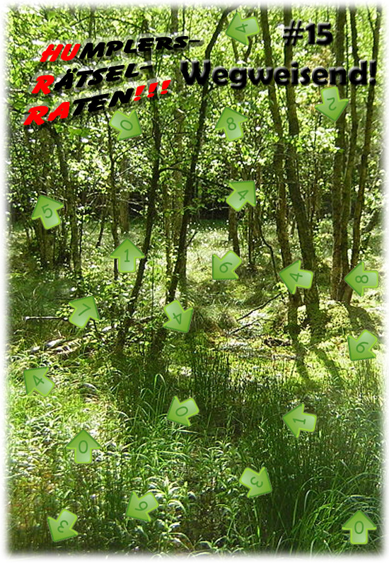 Grafik kann derzeit nicht angezeigt werden - Server down - bitte gedulden und wieder probieren.